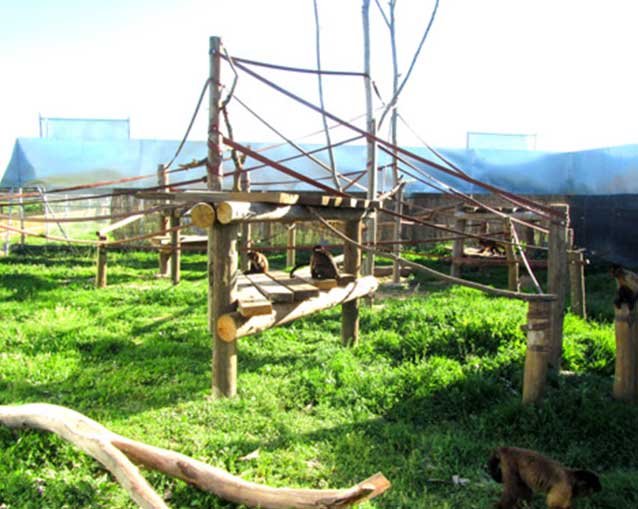 rehabilitacion-espacios-naturales